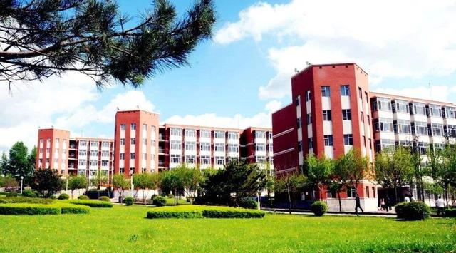 大学|高考成绩只够上个民办本科,是选择上学,还是复读一年?