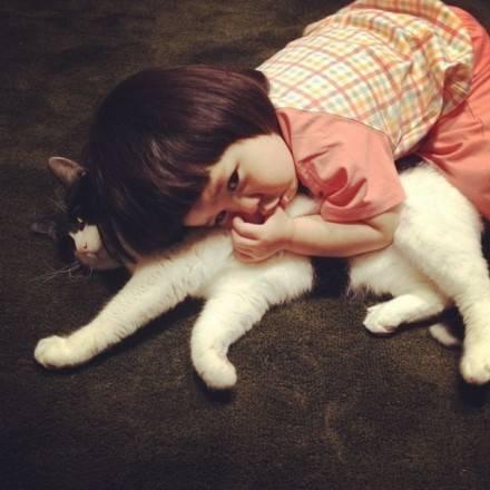 你适合养猫吗？