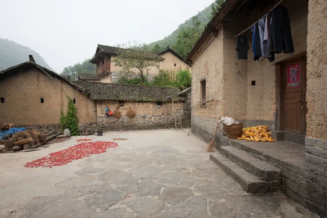 荆州|确定了!城镇户口的子女继承父母农村宅基地,要满足这些条件