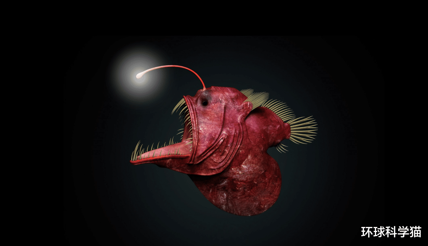 马里亚纳海沟|马里亚纳海沟有什么秘密？说出来你都不一定会相信