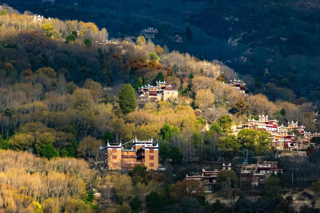 川西|川西，整个秋季最美的地方！思鹿旅行推荐