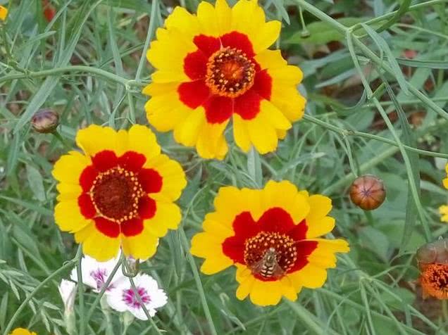 运势@6月开始运势直线升高，事业成功，财富高涨的星座