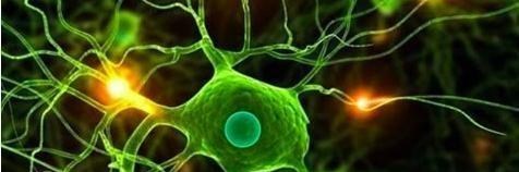 毒蛇|内陆太攀蛇是地球最毒的毒蛇，为什么致死率却是0？