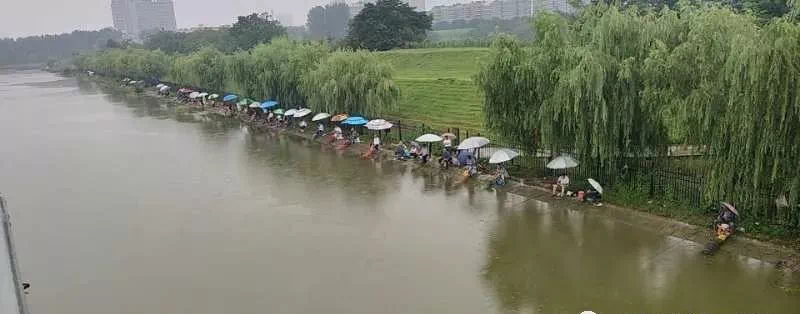 阜阳|心惊胆战！水情未退，阜阳船闸钓客齐聚