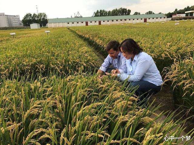 [养老金]四大粮商控制全球80%的粮食交易，有3家是美国公司，布局中国多年