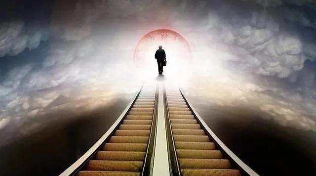 #大熊猫#科学发现: 人不会真正死亡