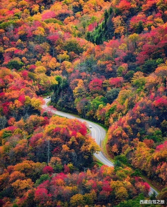 南京|川西红叶彩林攻略来了，错过这次再等一年