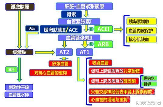 降压药|沙坦类降压药起效慢，副作用小，8类高血压人适合，服用要注意这5点