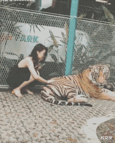 |妹子，你们头上戴着钢丝球在哪买的？哈哈