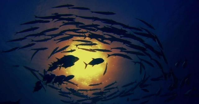 太阳系|太阳系最大的海洋，最深处是地球海洋10倍，可能有生命存在