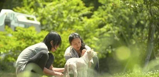 刘宪华|爱豆回国后人设“被崩塌”？真人秀有多“真人”？