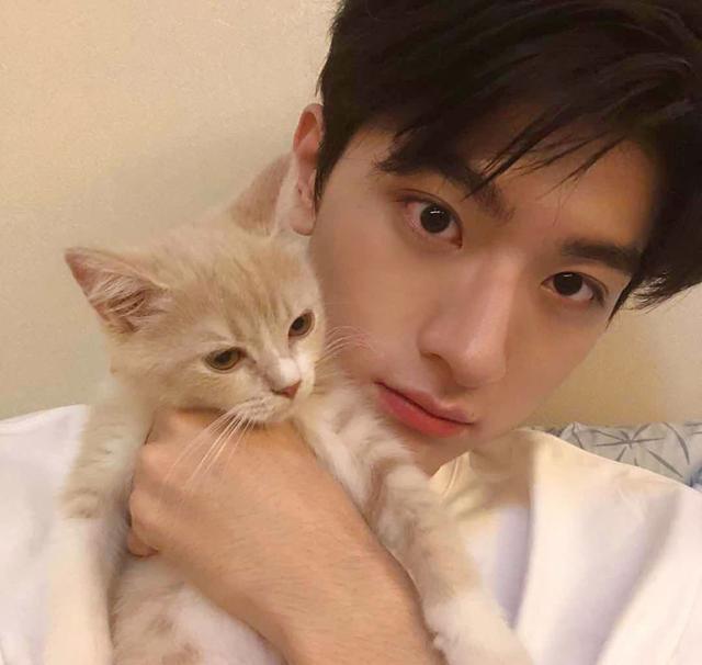 林一|16岁出道3部男主剧，初恋男神脸的他，却在上升期被公司忽略