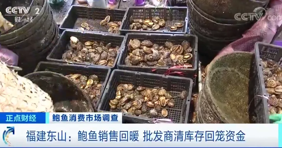 浙样的生活|大跌！一斤只要20元？浙江人爱吃的这菜价格“腰斩”！