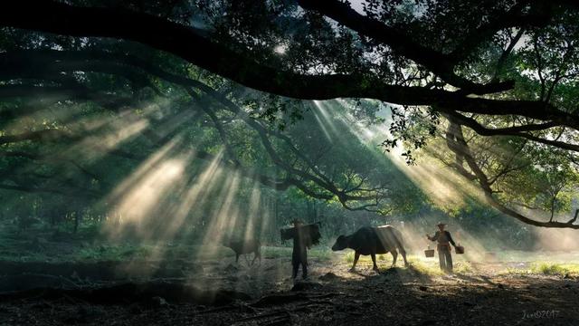 旅行|看了这些景区的“素颜照”，我再也不想去旅行了