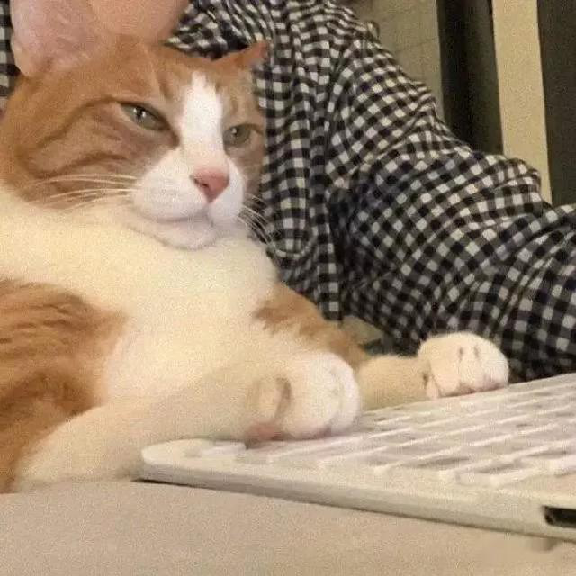 [财务管理]想废掉一个年轻人，就让他去学理财