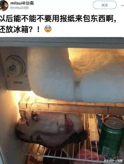 |“被阿姨盯了好几站了，我该怎么办？”哈哈哈哈哈哈...神评信息量真大啊！