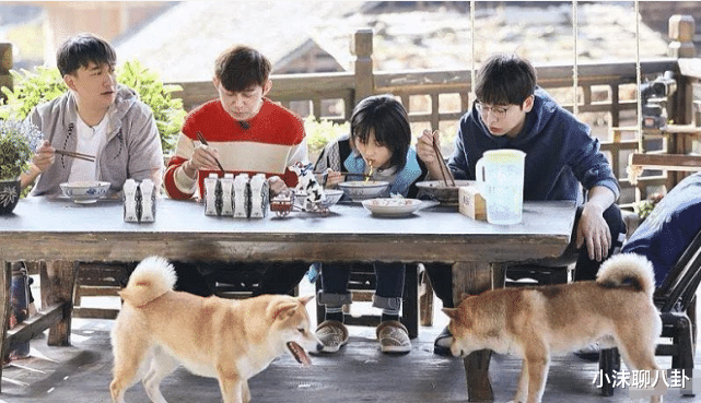 奔跑吧兄弟@人气最高的“综艺团体”，不是《极挑》跟《奔跑吧》，而是这一家族