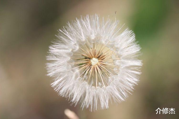 双鱼座|10月上旬开始，姻缘未改，缘分重聚，缘分不是说断就断的4大星座