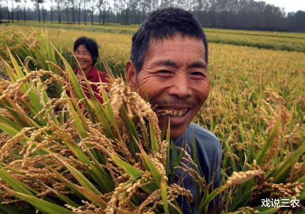 戏说三农|2020新政策出台，“2涨1降”落实，农民迎3大好消息？有点期待！