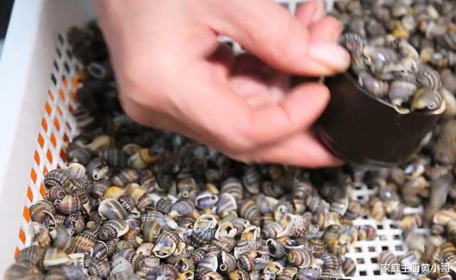 [摆摊]大叔摆摊买了三套房，40年只卖一种小吃，20元三勺，你觉得咋样