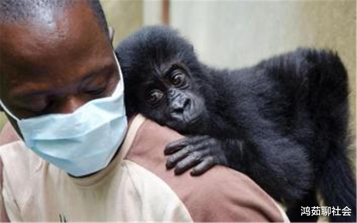 橄榄油@艾滋病人和正常人没有区别，潜伏期达8～10年，该如何辨别？