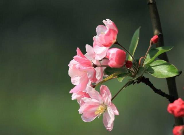 「属蛇」今年6月里，3生肖将会被财星正照，机会来袭横财在握，富贵长久