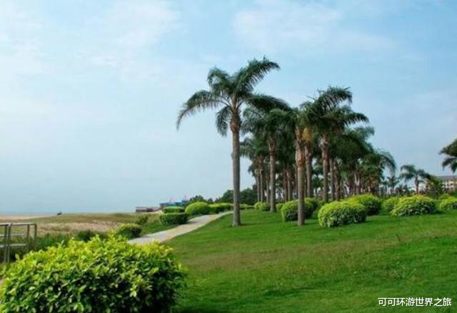 【厦门】藏匿厦门东海岸的沙滩，颜值高游客少，超适合全家出游