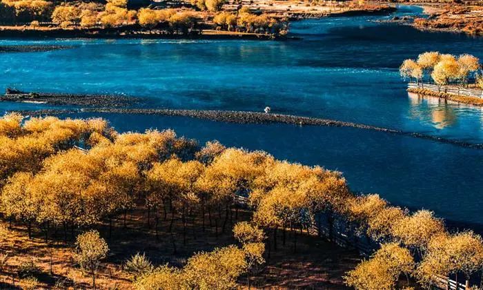 林芝|林芝一定要来两次,一次是春天,一次是秋天