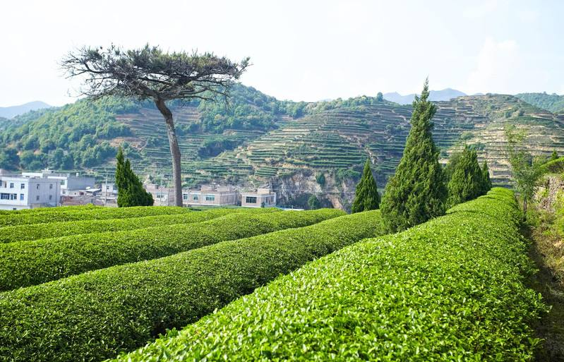 泉州|福建泉州市有一个县，县城建在河谷中，河流在县城转了6个大弯