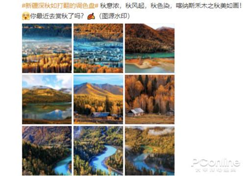 荣耀|掌握正确拍照姿势，荣耀30系列get秋日绝美大片