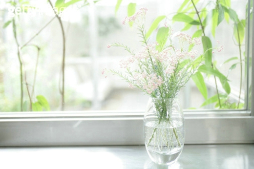 狮子座|10月下旬，一半浅喜，一半深爱，3星座把期望降低，把依赖变少