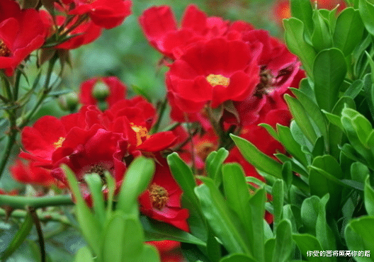 吉星▲6月16日开始，4属相好事进门，顺风顺水，财路大开，越过越有钱