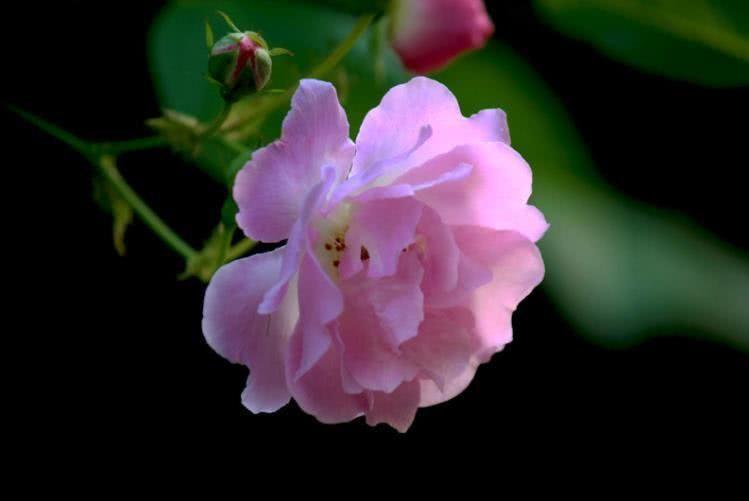 金牛座|10月开始，好运增多，财气冲天，横财赚不停的四大属相