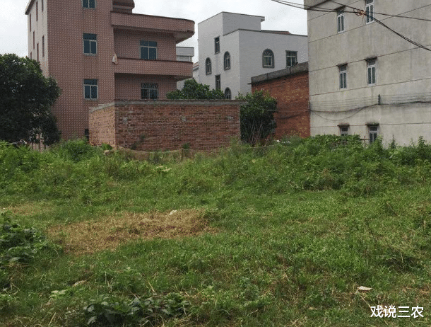 戏说三农|?“活人无地,死人有田”咋办?1个问题不解决,再好的办法也白搭