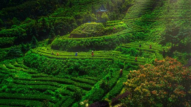 清远|清远十大精品自驾游线路，只要你来，清远“氧”你