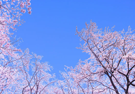 吉星|进入7月底,4属相吉星当头,时来运转,生活事业顺风顺水