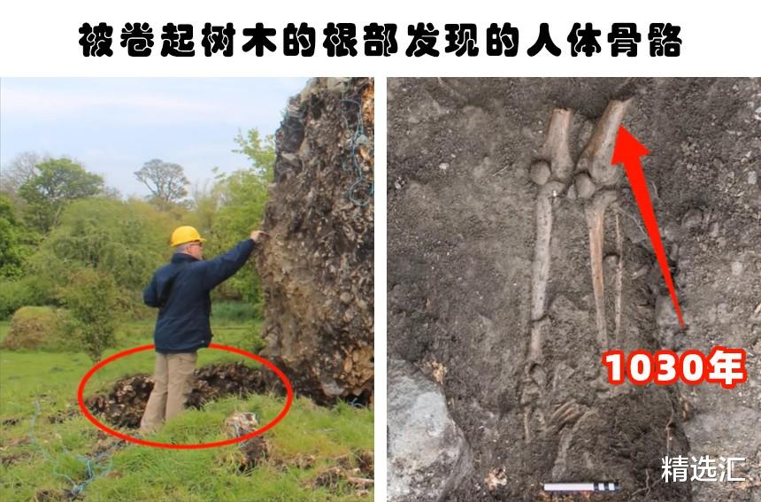 化石|神秘发现：在地球天气变化的帮助下，人类所找到5个神秘的发现