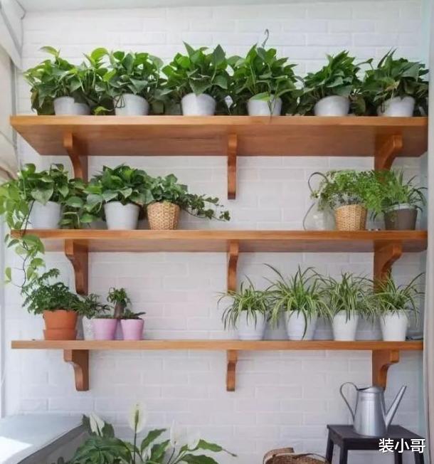 |阳台怎样设计?试试这5种设计,小阳台变得比花园还美!