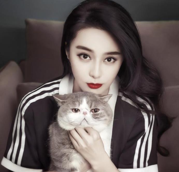 范冰冰|越混越差的4位明星,从一线沦落到三四线无戏可拍,哪位最让你惋惜?