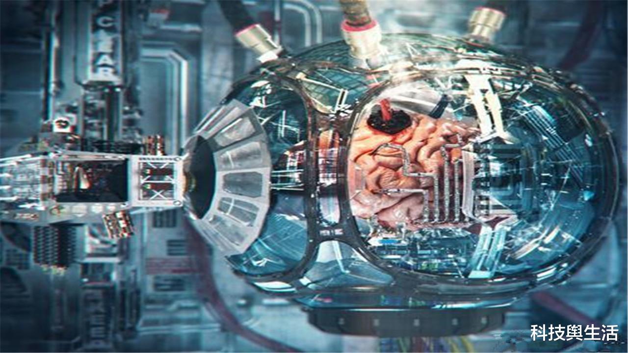 科学家|科学家首次公布模拟图，1亿年后的人类，原来长这副模样！