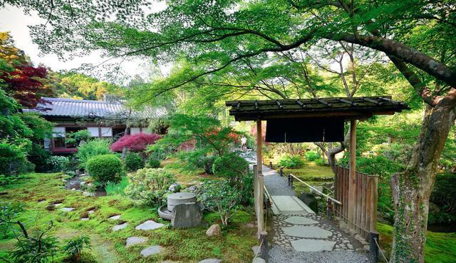 @庭院设计师最钟爱的花草，选对了，自己轻松做花园，美到不行！