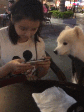 |别人挤破头都考不上的单位，我爸给我打点好了，奈何年少轻狂无知啊！