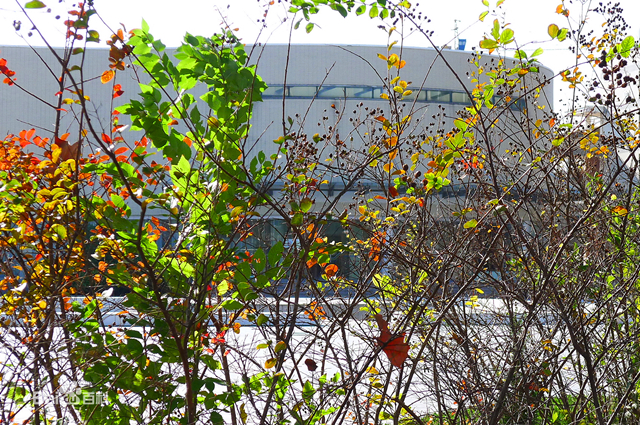 教师|盐城一家长写公开信致校长,质疑高一来了很多新老师