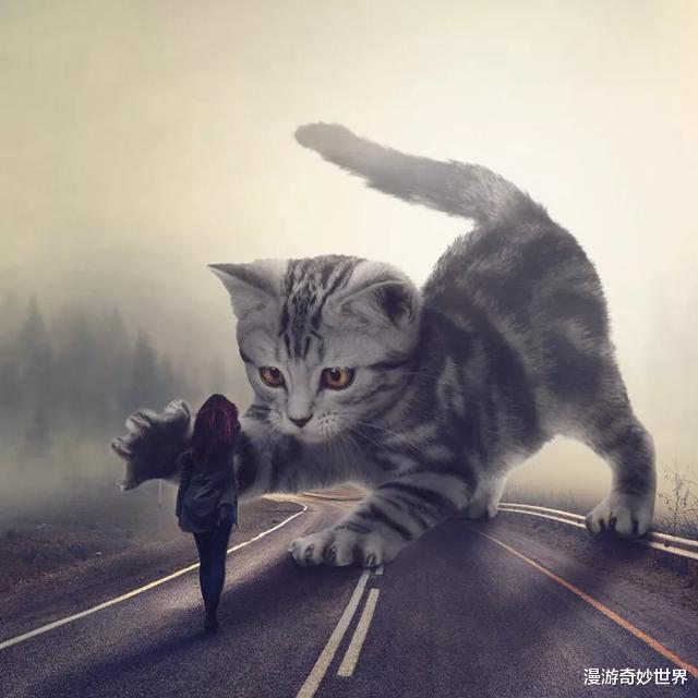 |动物们变大几百倍后的世界,巨物恐惧症患者:要窒息了