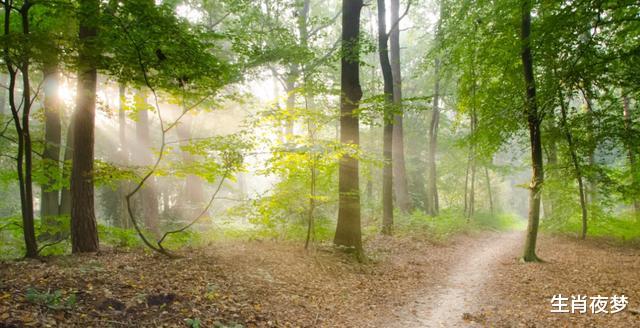 生肖|8月，感动落泪，爱情回归，3生肖终究还是放不下，重新收获旧情人