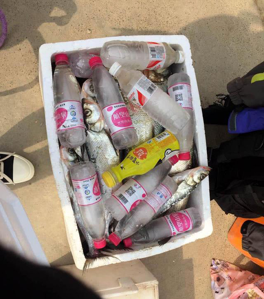 |钓鱼的都是疯子，不好意思，我也是其中之一