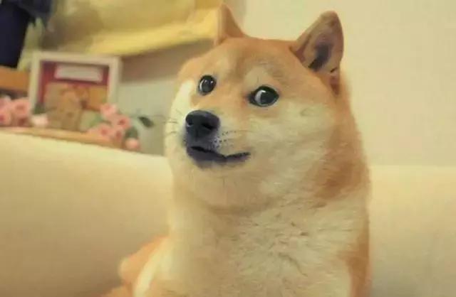 大盘|目前，有什么可怕