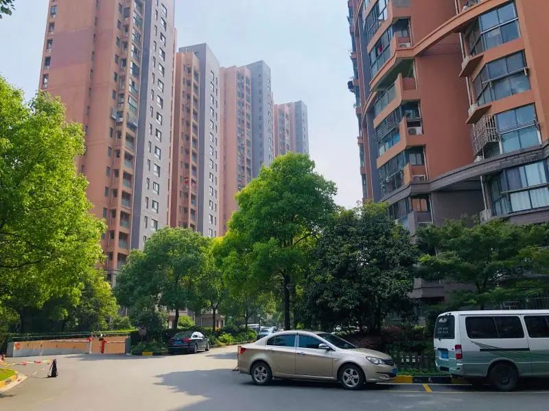 上海徐汇 智慧治理、暖情自治，盛心汇汇聚泾彩新时代