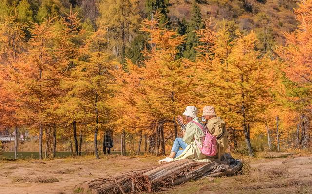 属兔|11月，久经风霜，雨过天晴，绝地逢生，再次点燃爱火，破镜重圆