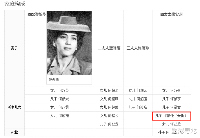 [何鸿燊]赌王何鸿燊去世，才揭开了家族的未解之谜，神秘幼子身份终于揭晓